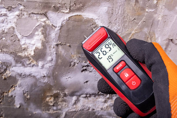 Deming, NM Mold Remediation Company