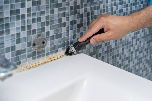 Best Kitchen Mold Remediation in Deming, NM
