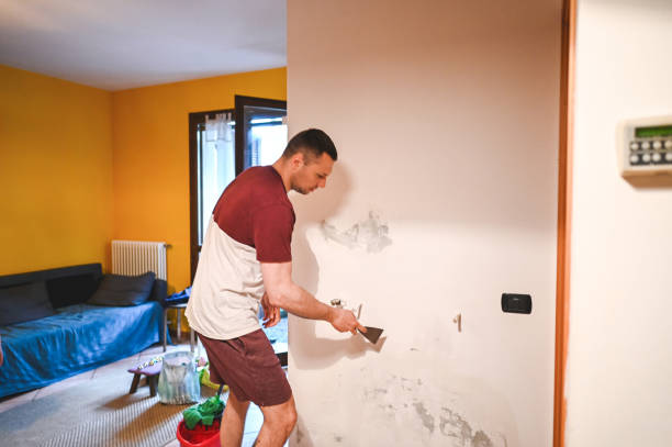 Best Basement Mold Remediation in Deming, NM